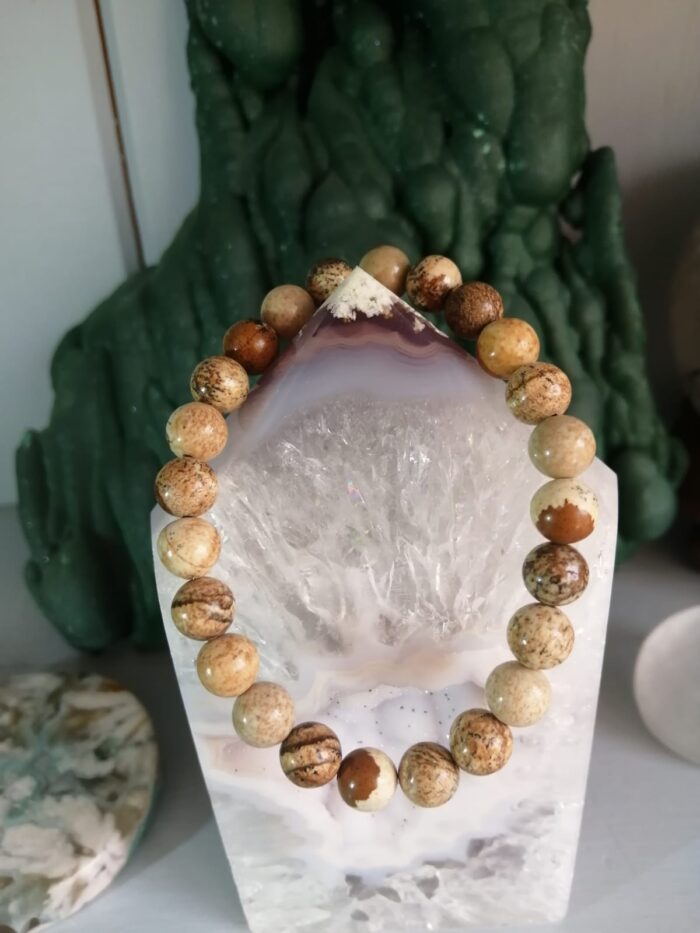 picture jasper 1