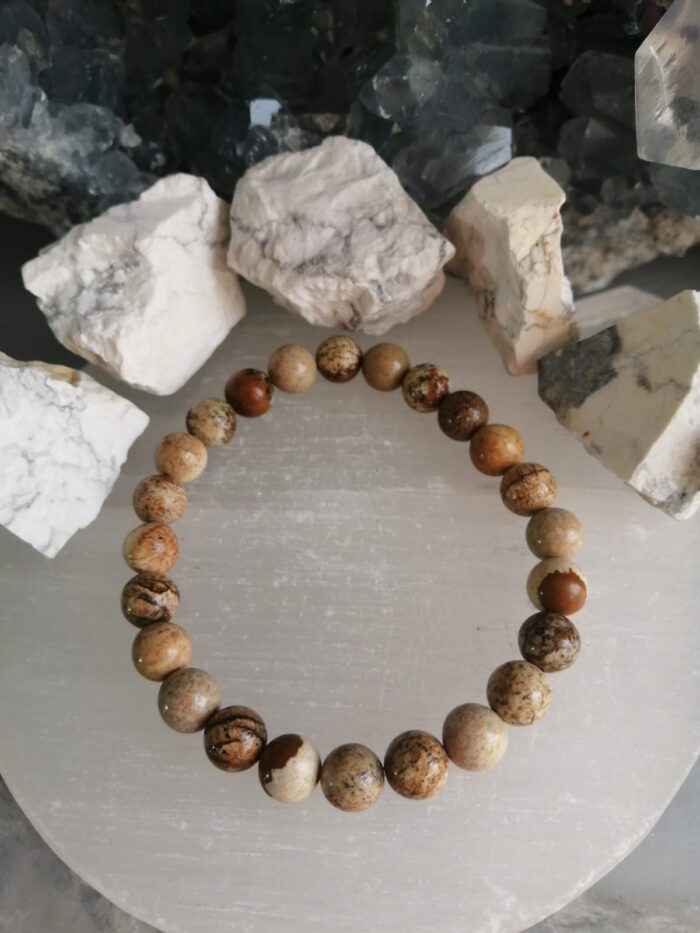 picture jasper 2