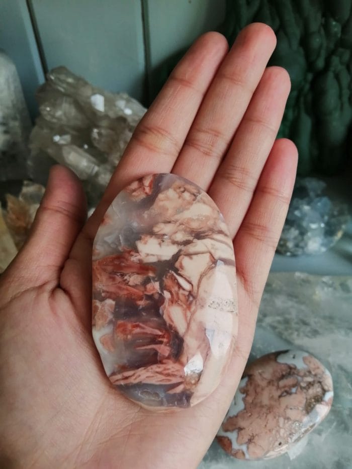 flower agate palm2