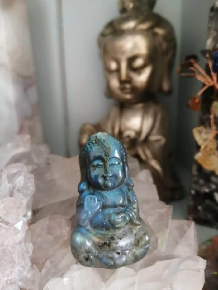 baby buddha 1